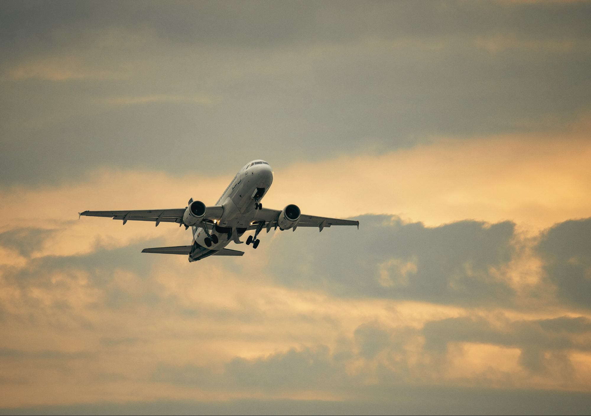 Avion